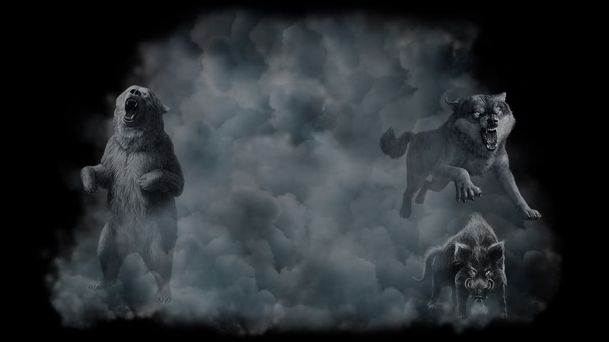 Animals