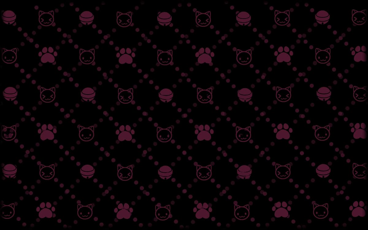 Cat heaven