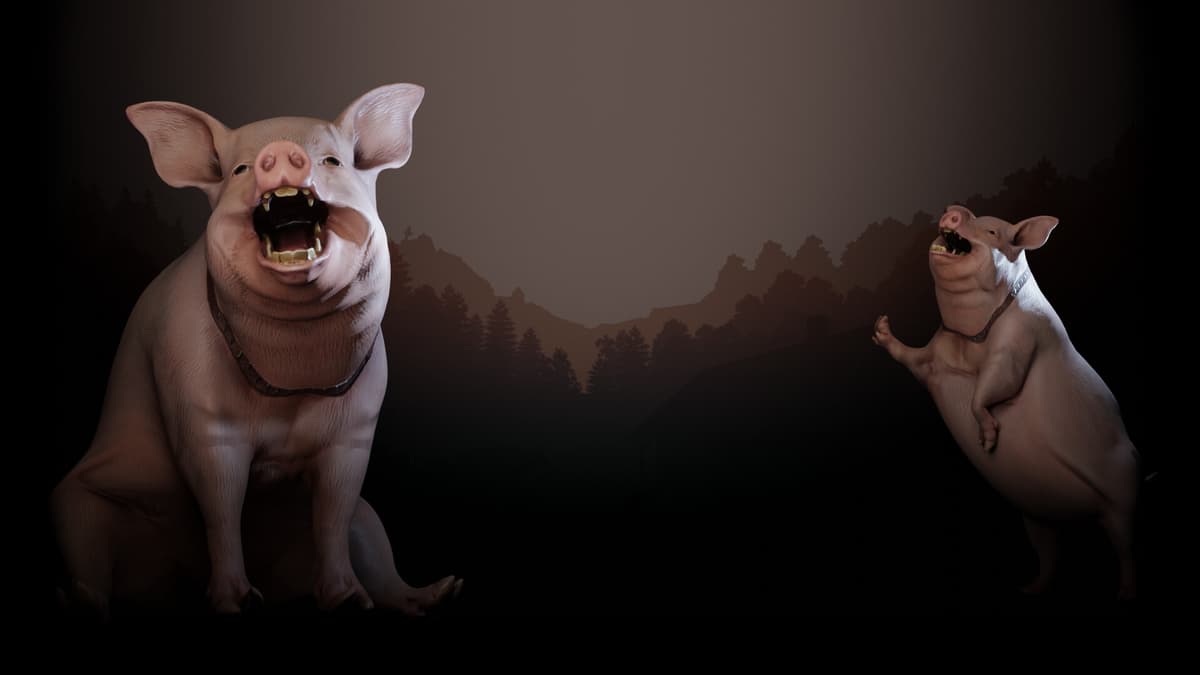Fluffy the pig