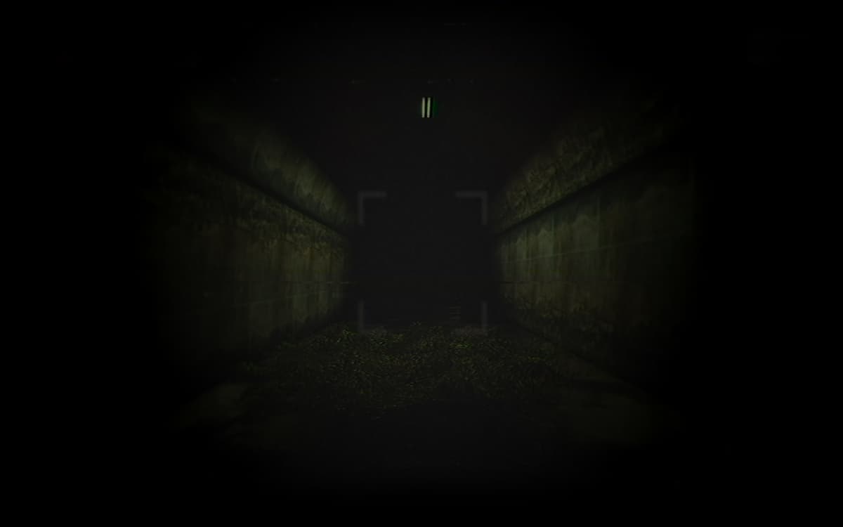 The tunnel