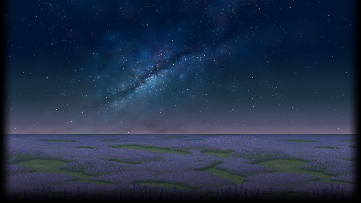 Lavender Field - Night