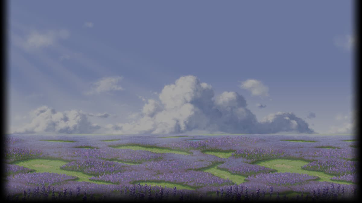 Lavender Field - Day