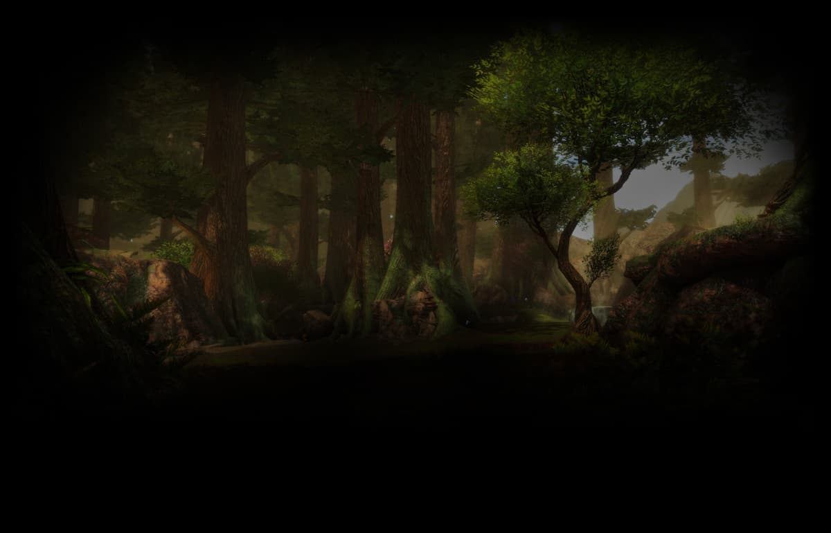 Forest