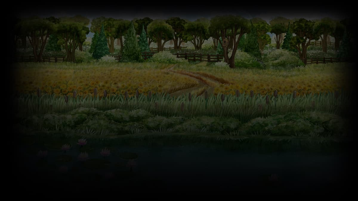 Sunflower Meadow