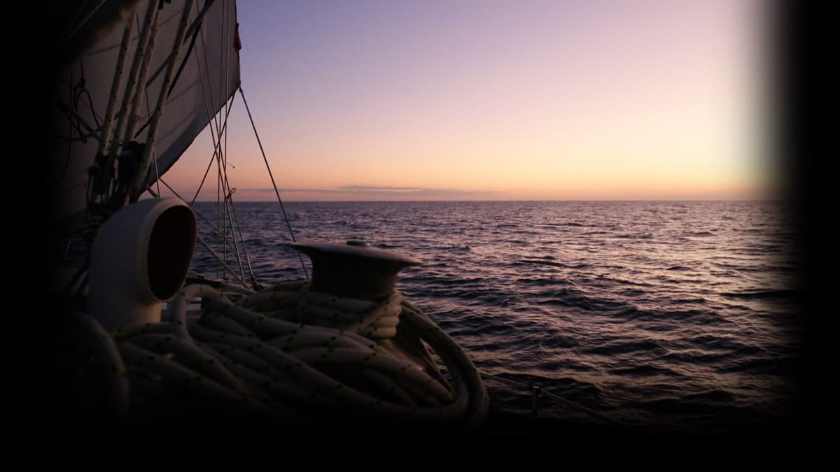 Antarctic Seas