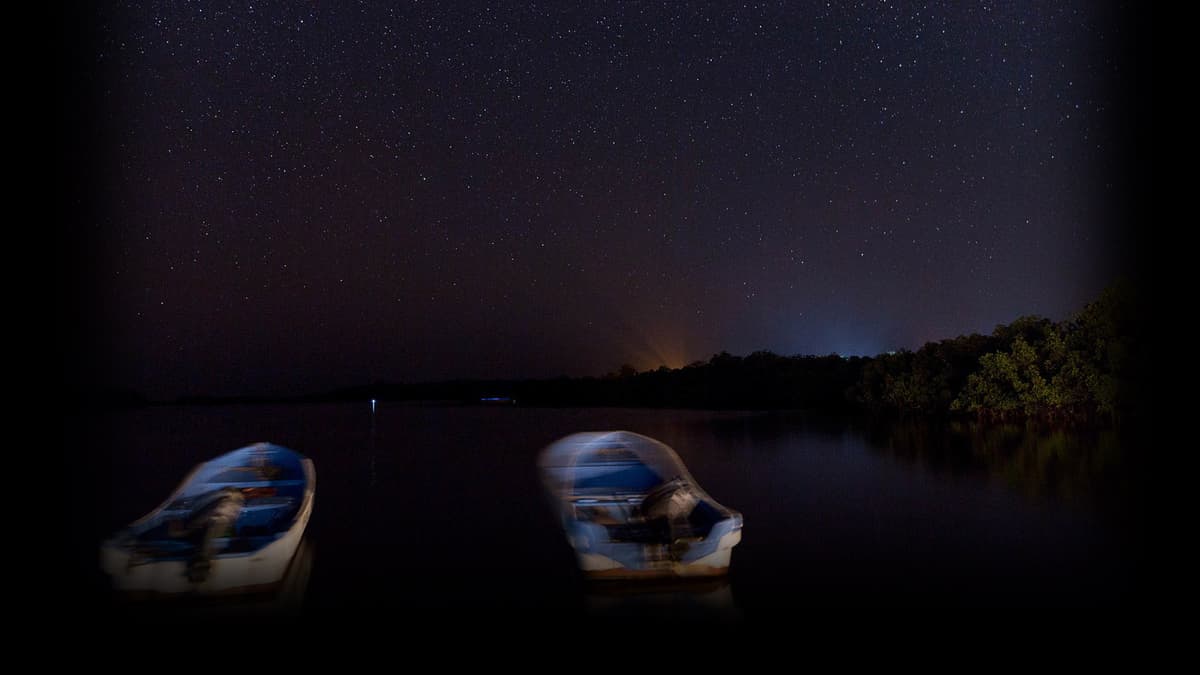 Night Sky