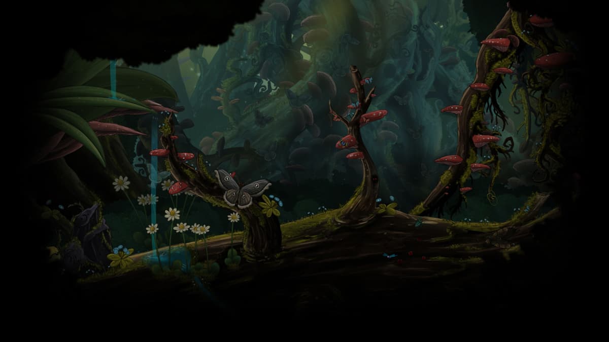 Forest bottom (Profile Background)