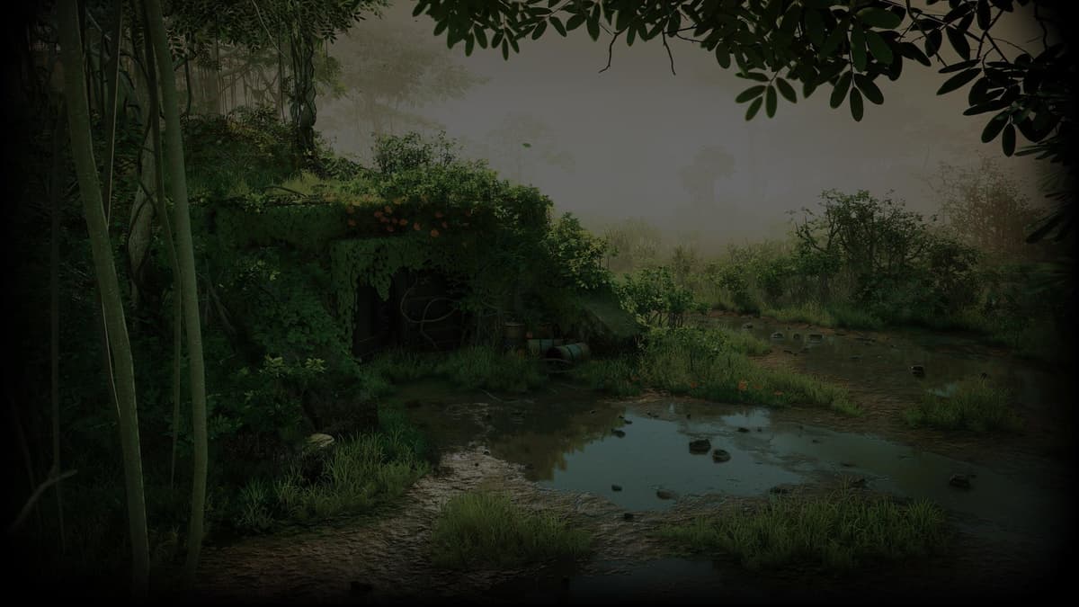 Jungle