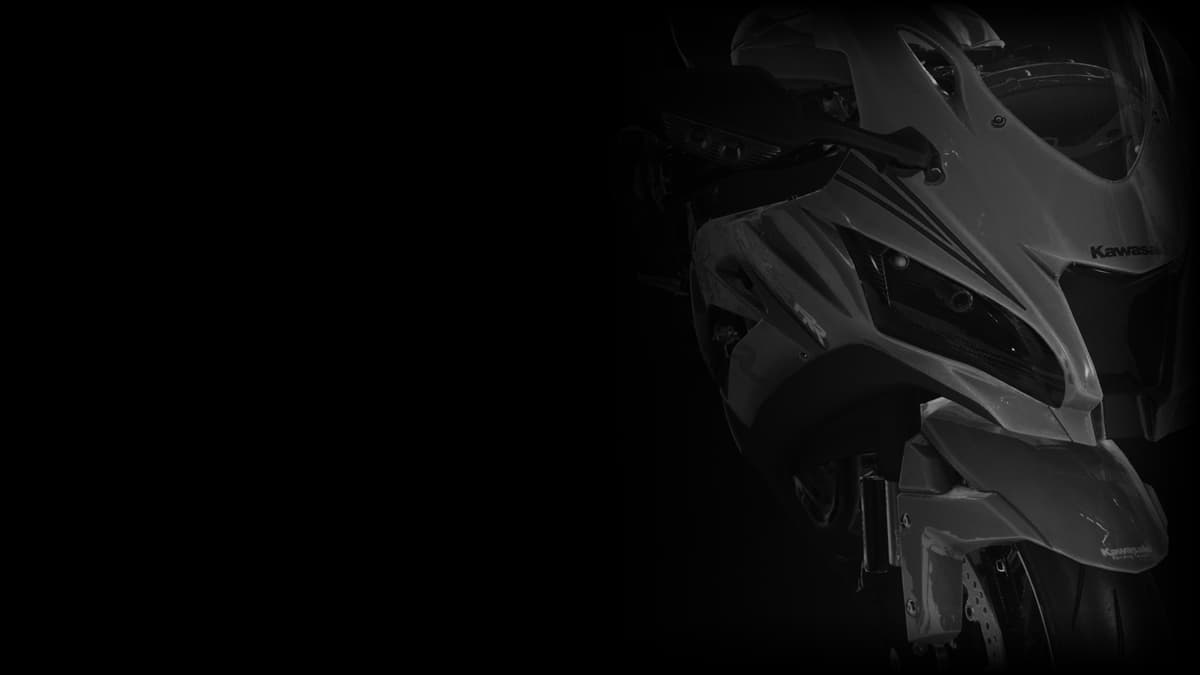 Profile 5