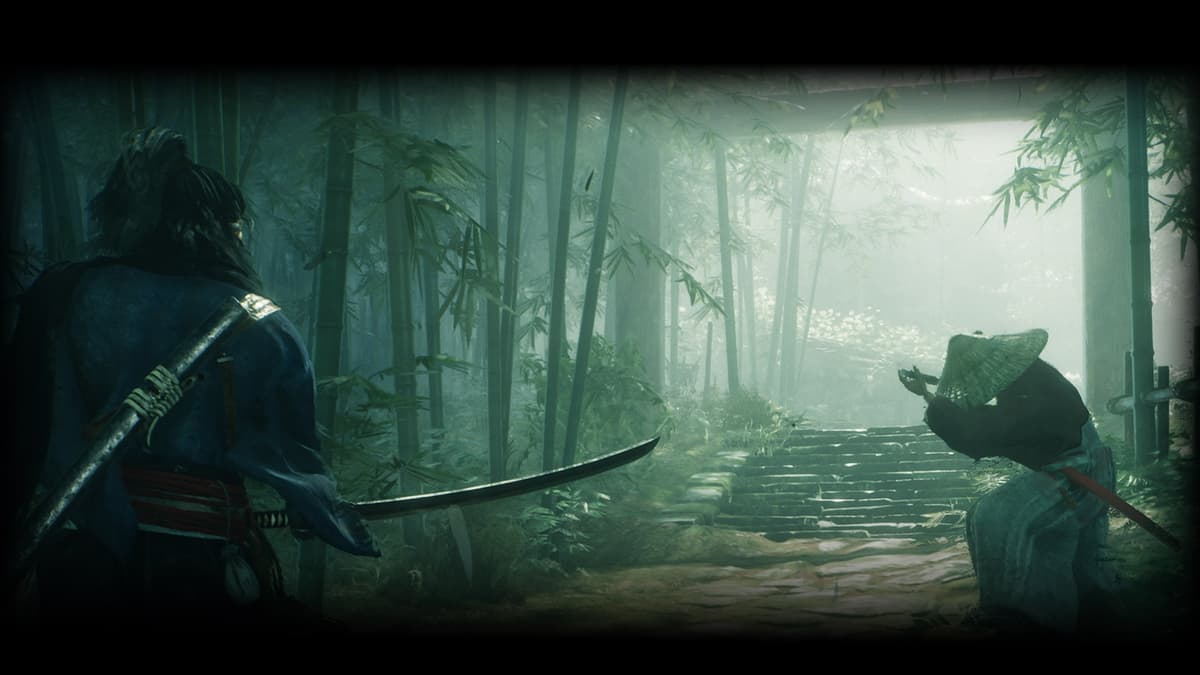 Rise of the Ronin