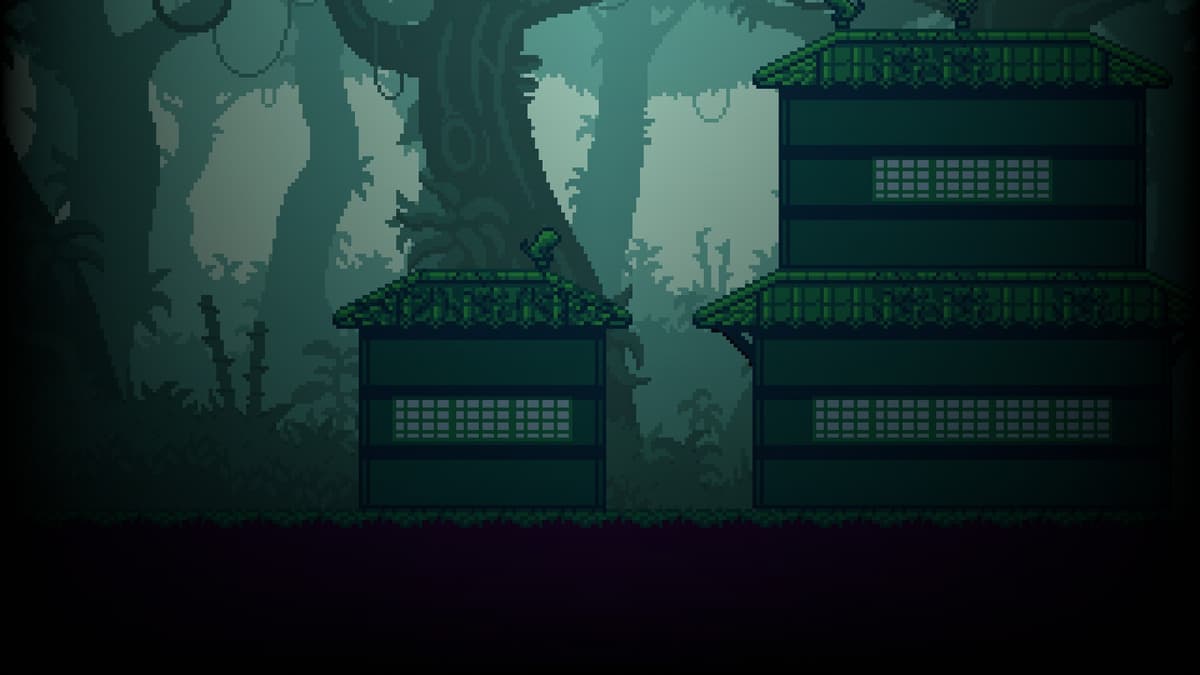 Jungle