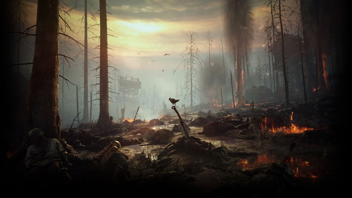 Ravaged by War