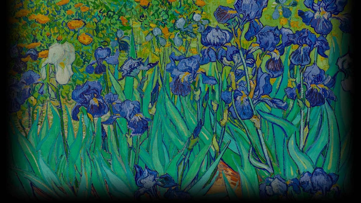 Irises