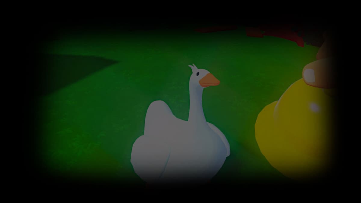 Background Goose