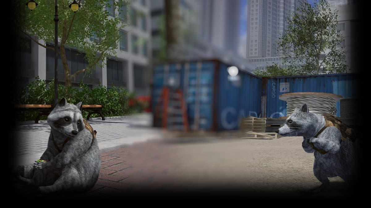 Raccoon in the city
