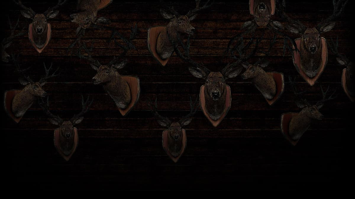 Wall of Deeeeeeer