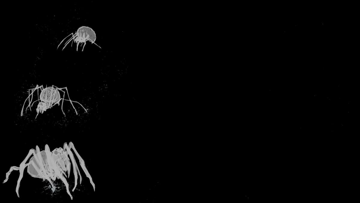 Spider