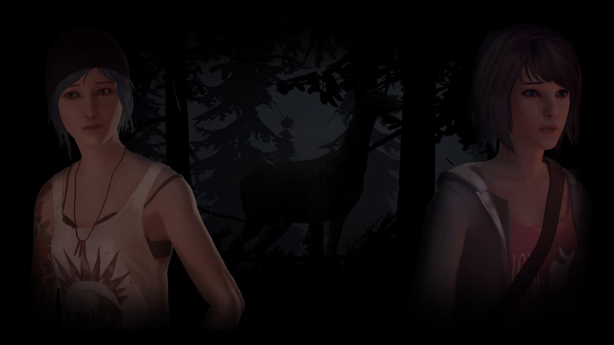 Into the Forest