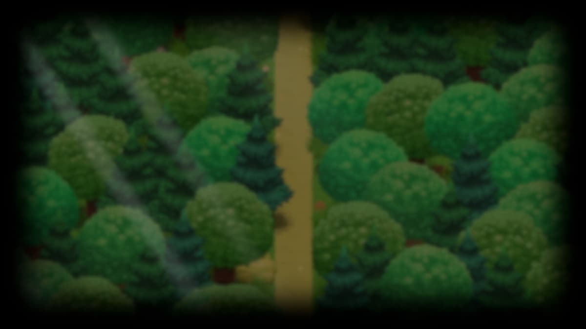 The Forest