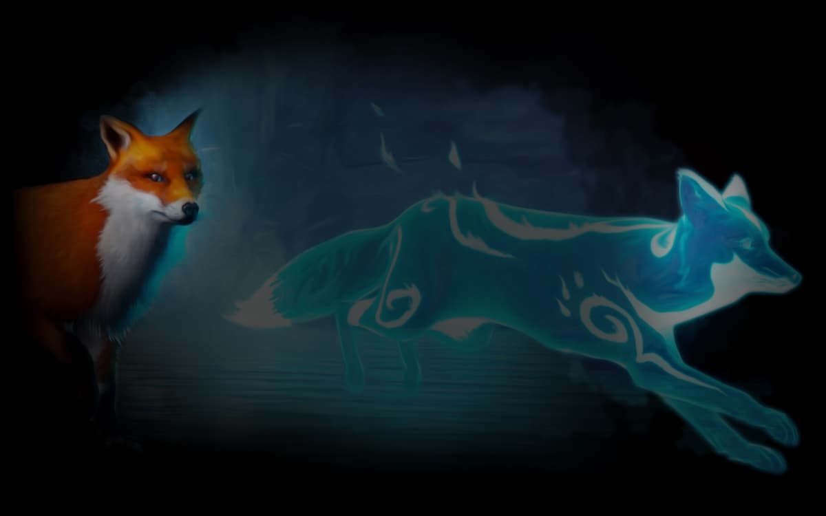 Companion