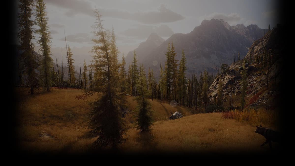 Mountains