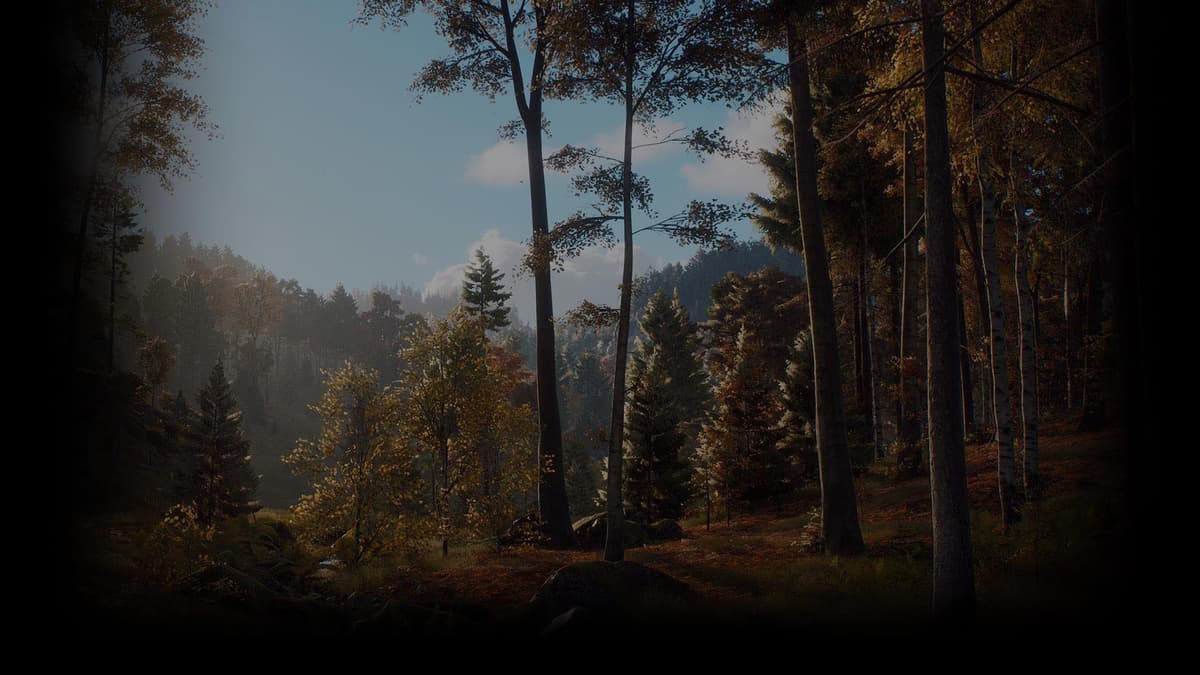 Forest