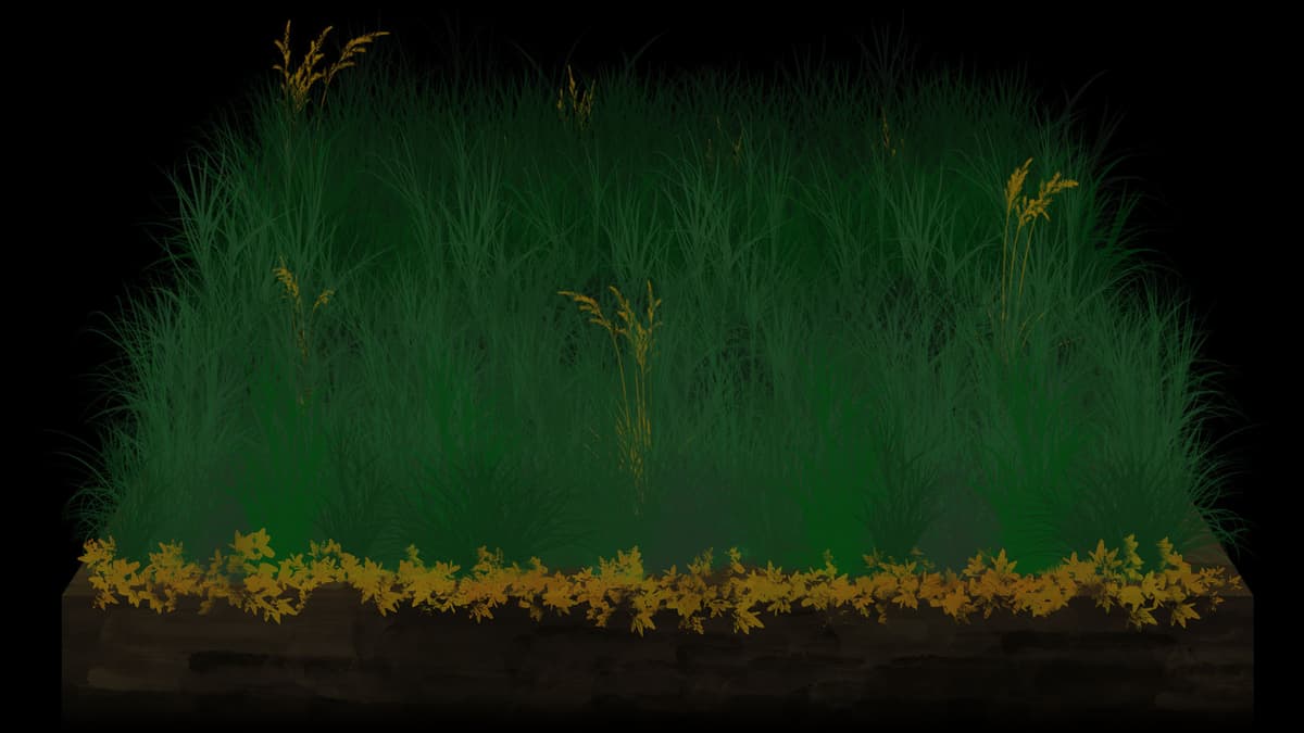 A Patch of Grass