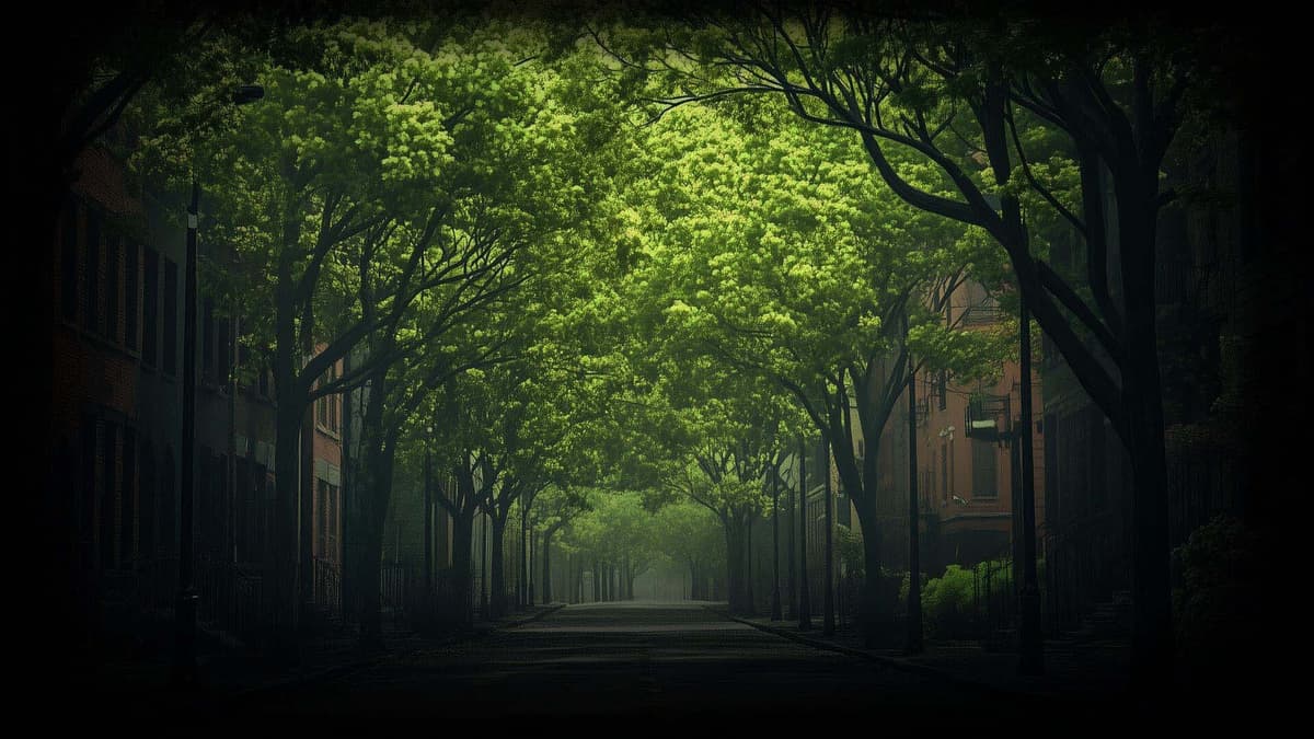 spring
