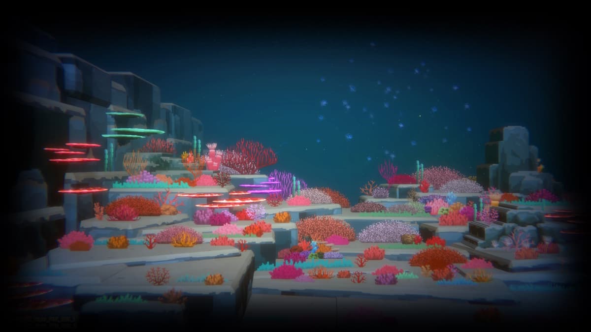 NIGHT DIVE