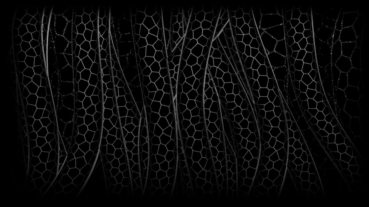 Primordial Root