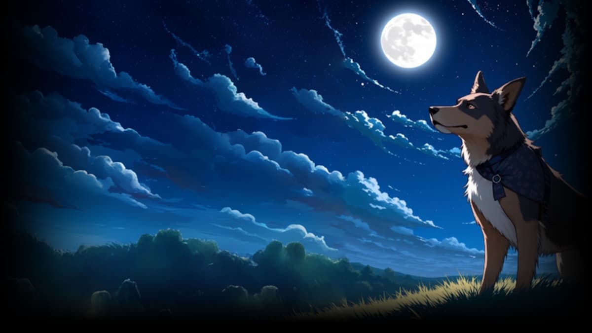 Cute Alone Dog