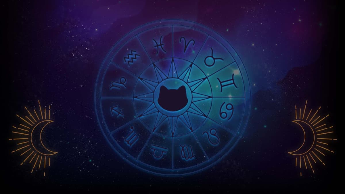 zodiacatsmoon