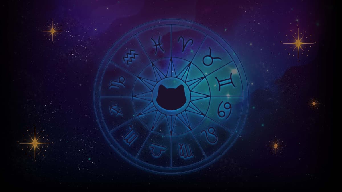 zodiacatsstars
