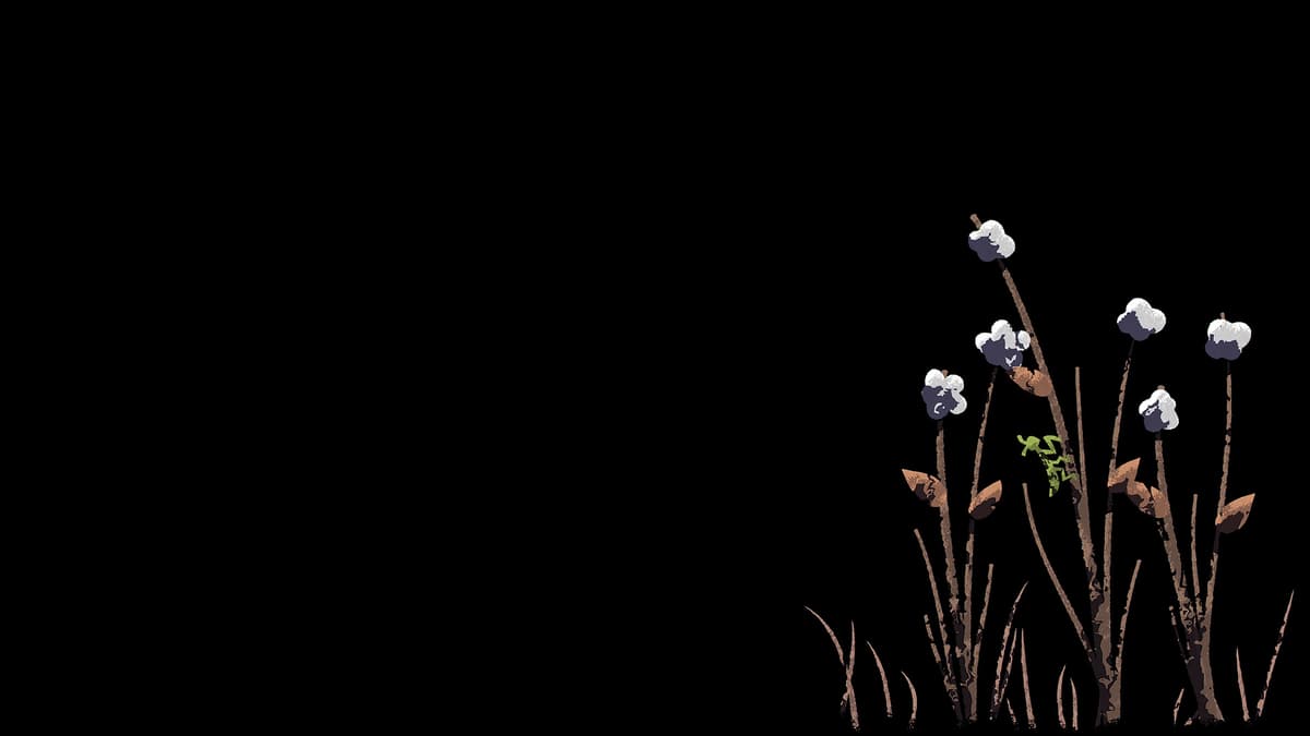NAIAD Cotton