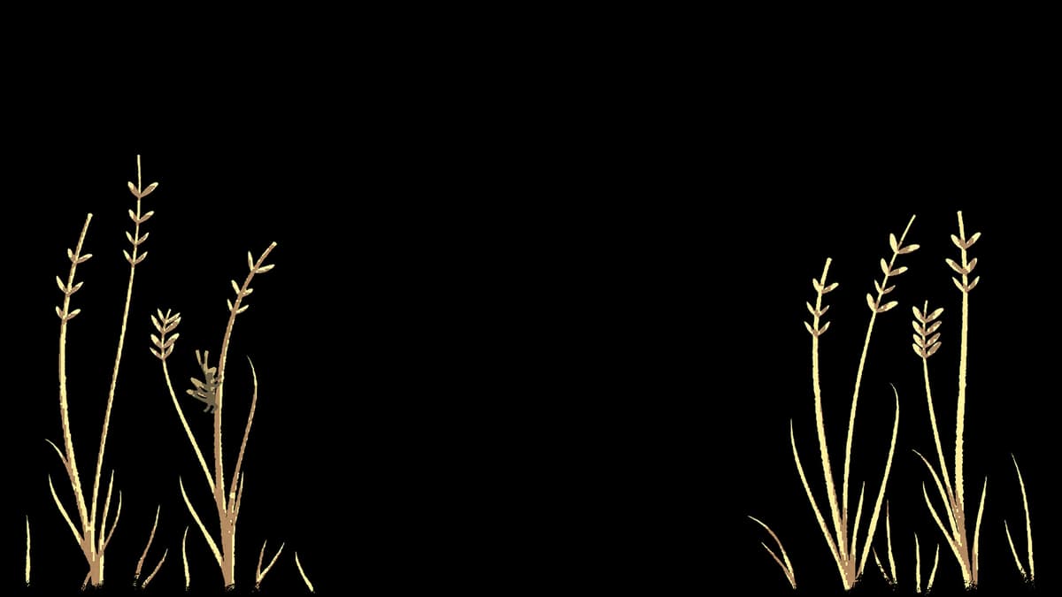 NAIAD Triticum