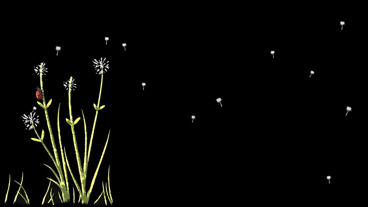 NAIAD Dandelion