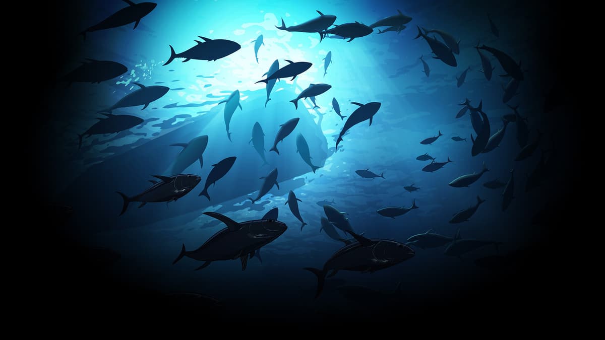 慵懒地海