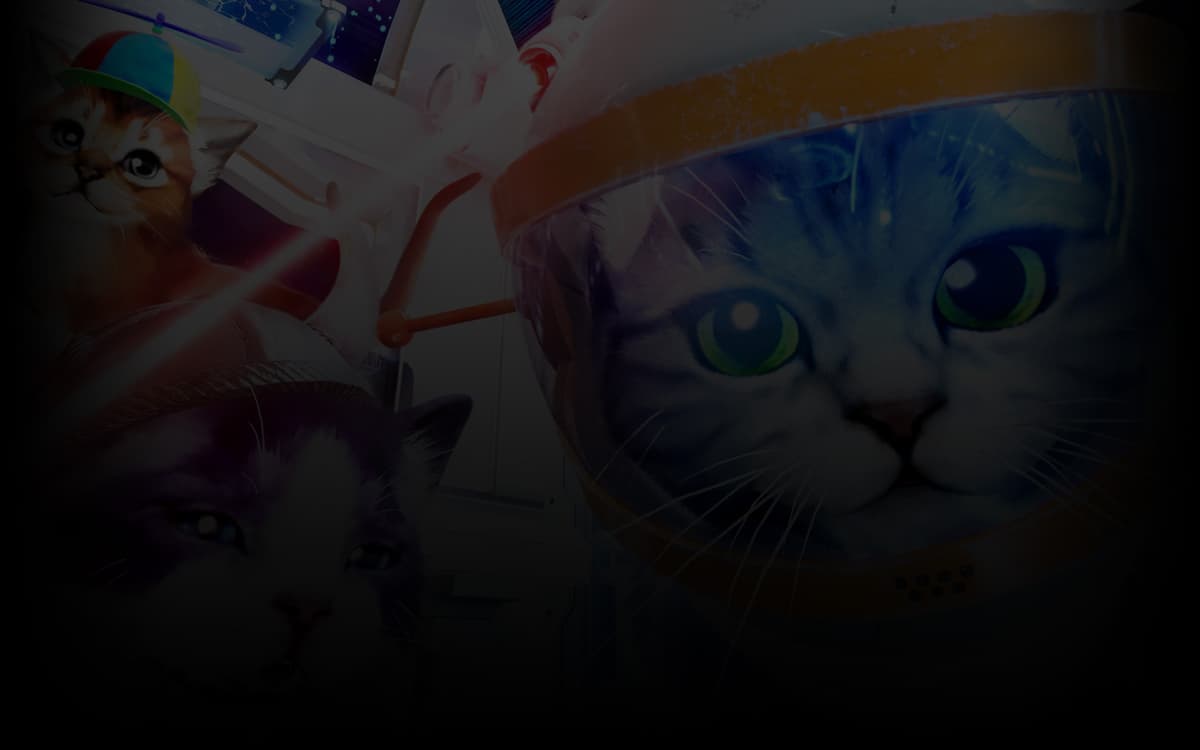 Kitten'd in space!