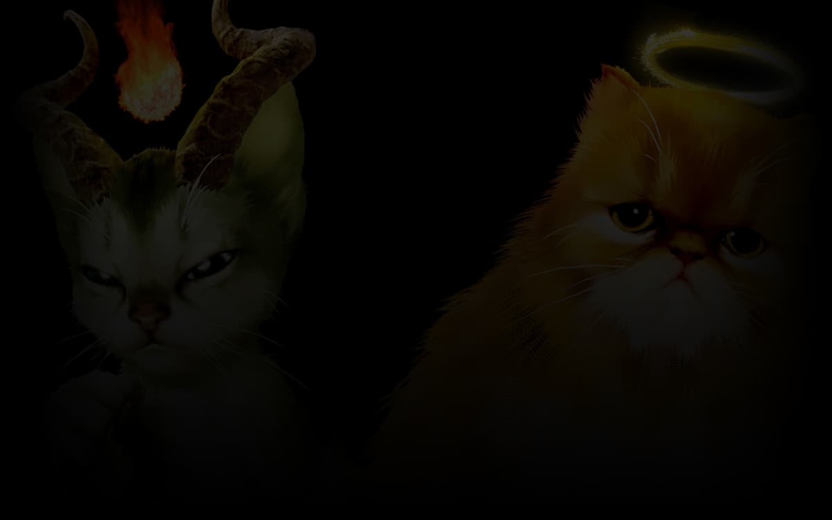 Kitten'd good and evil