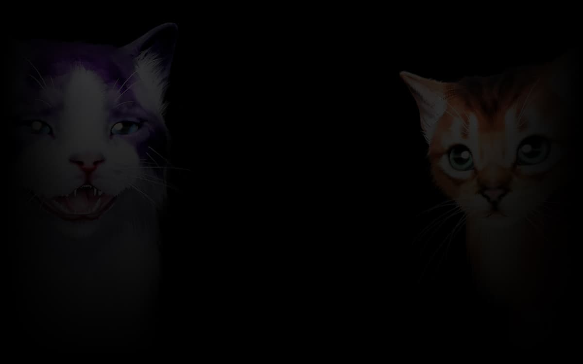 Kitten'd team