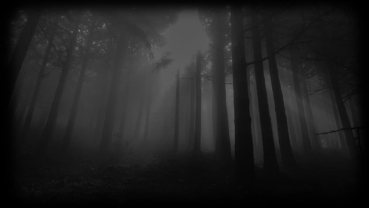 Haunted Forest