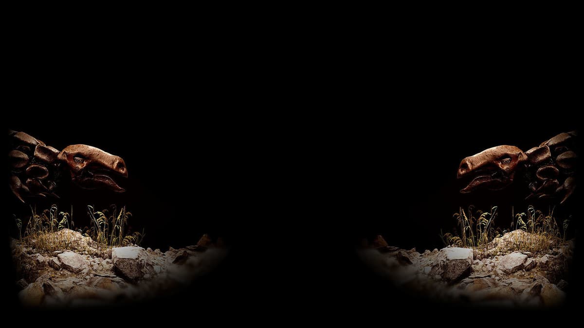 Double Dino Background
