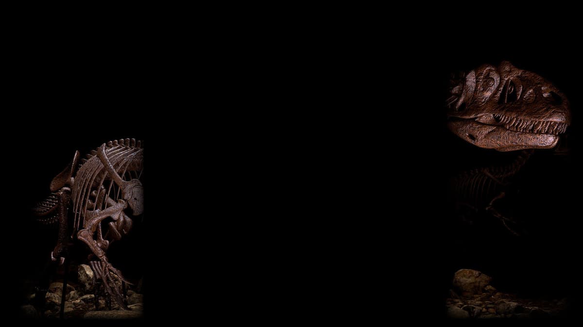 Half Raptor Background