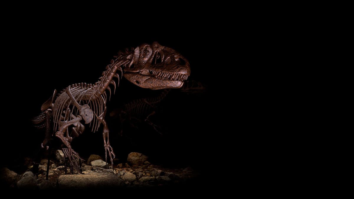 Raptor Background