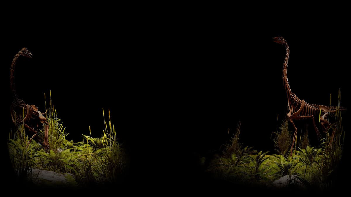 Ornithomimus Background