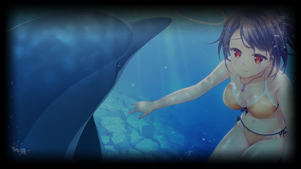 With Dolphin