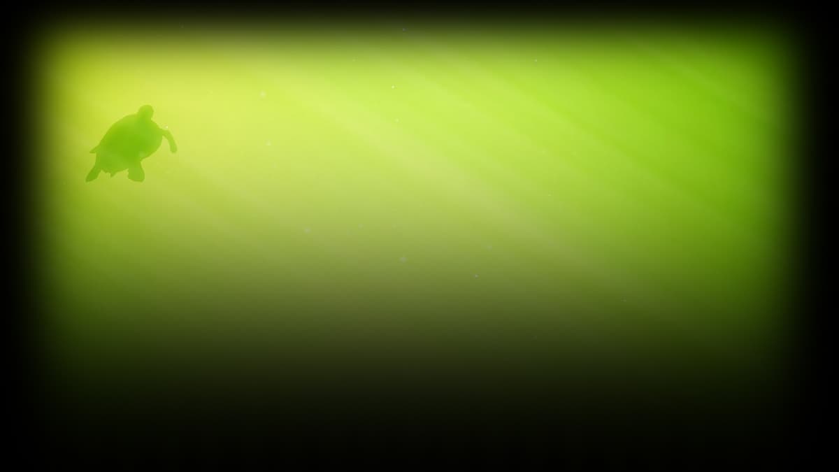 Turtle (Profile Background)