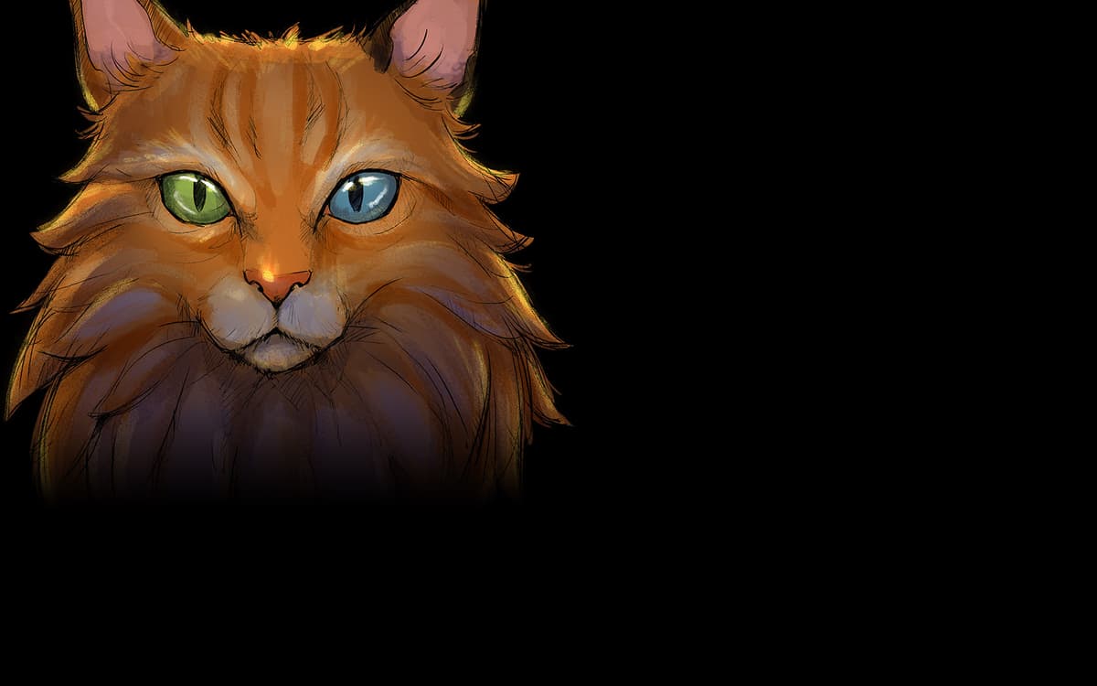 Hodge Background