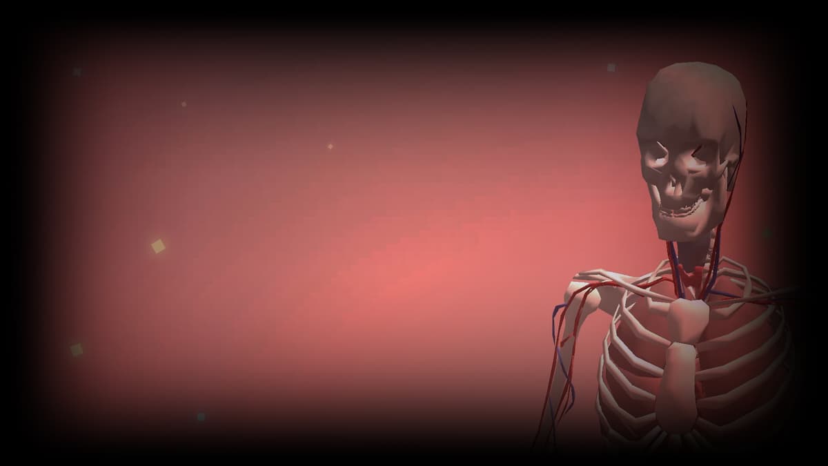 Human Body