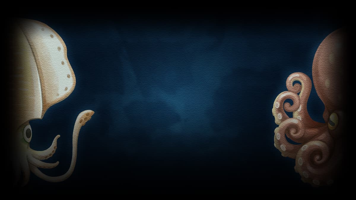 Octopus and Squid